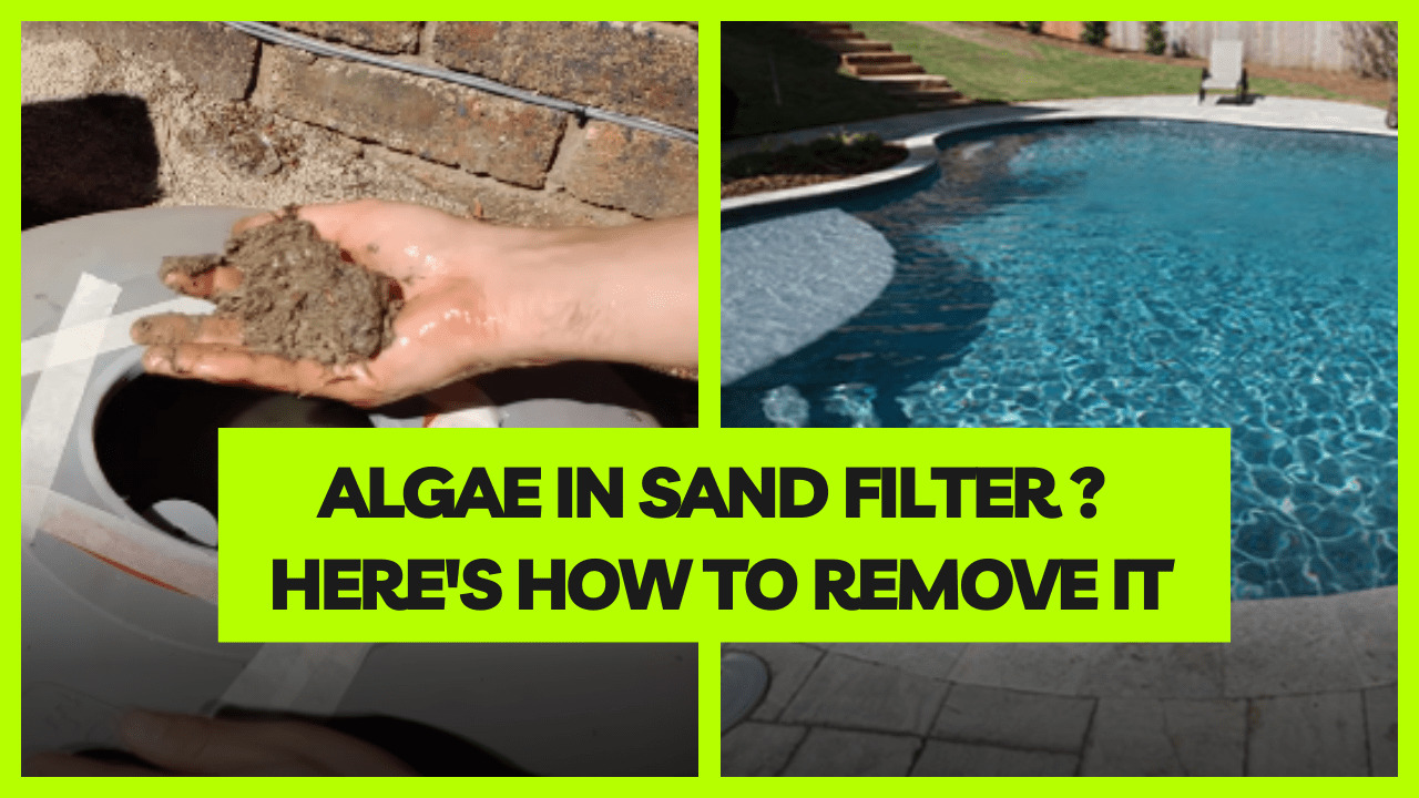 Algae in Sand Filter